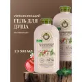 Рецепты бабушки Агафьи Сибирская травница Яблоневый цвет Гель для душа женский увлажняющий 2 шт х 500 мл