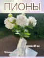 Искусственные цветы, пионы, 5 шт