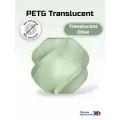 PETG Translucent пластик (без катушки) для 3D-принтера Bambu Lab Olive (полупрозрачный оливковый) 32500)