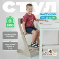 Растущий стул для детей и школьников Конек Горбунек Стандарт, для кормления детский, Капучино