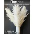 Пампасная трава высокая сухоцветы для декора