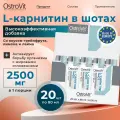 OstroVit L-Carnitine Shot, L-Карнитин для иммунитета и похудения, Аминокислота для повышения выносливости, упаковка 20 шт по 80 мл, Спортивное питание