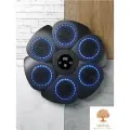 Набор для бокса Music Boxing Machine