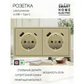 Розетка с тонкой рамкой, 2 поста (электрическая с USB и Type C)