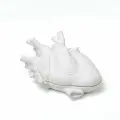 Шкатулка Seletti Love in Bloom Love in a box 09918