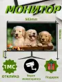 Монитор 21.5 дюйма, 75 Гц, Full HD 19201080, TN, 1 мс, HDMI+VGA, чёрный