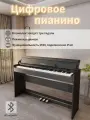 Цифровое пианино Wencai BL-8818,88 клавиш, взвешенной клавиатурой молоточковой, с крышкой клавиатуры педалЯми, ЧерHЫЙ