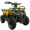Квадроцикл GreenCamel Гоби K40 (36V 800W R6 Цепной привод) (Армейский-желтый)