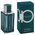 Salvatore ferragamo intense leather Парфюмерная вода для мужчин 100 мл