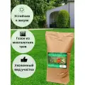 Газонная трава семена Экологичная 10кг, Зеленстрой