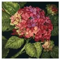 20053 Набор для вышивания (гобелен) DIMENSIONS Hydrangea Bloom Цветение гортензии