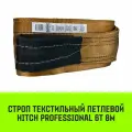 Строп HITCH PROFESSIONAL текстильный петлевой СТП 6т 8м SF7 180мм