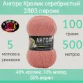 Пряжа Color City Ангора кролик серебристый 2803 персик (100г/500м, упаковка 5 мотков)