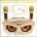 Караоке-система SDRD SD 306 Gold, с радиомикрофонами, Bluetooth, Золотая