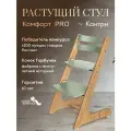 Растущий стул для детей и школьников Конек Горбунек Комфорт PRO, Кантри