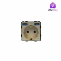 Модуль розетки с USB+USB на 16A с заземлением и шторками, для рамки, золотого цвета