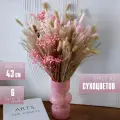 Сухоцветы для декора, букет из сухоцветов: гипсофила, кортадерия, лагурус, мискантус, лен - розовые