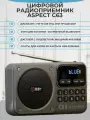 Портативный Цифровой Радиоприемник Aspect C63 FM + Bluetooth