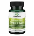 Гинкго билоба 60 мг, 120 капс.