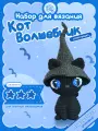 Набор для вязания Кот-волшебник crochet.internet