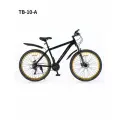 Велосипед Team Klasse TB-10-A, горный, 21 скорость, стальной, черный