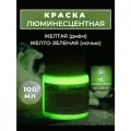 Краска люминесцентная VESTA PROFESSIONAL желтая / желто-зеленая (день / ночь) - 100 мл