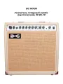 BG WA30 - Усилитель гитарный комбо акустический, 30 Вт, 10