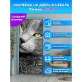 Наклейка интерьерная на дверь Макро портрет красивого серого кота, самоклеющаяся 70х200 см.