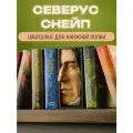 Book Nook, вставка- шкатулка между книг Северус Снейп