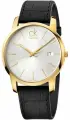 Наручные часы CALVIN KLEIN City, серебряный/золотой/черный