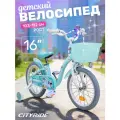 Велосипед детский двухколесный CITYRIDE, радиус 16, для девочек, CR-B2-09H16MG