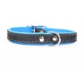ZOOLESZCZ Ошейник для собак Neo Elk, голубой, 20х1.2см