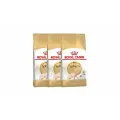 Royal Canin Sphynx сухой корм для взрослых кошек породы сфинкс - 2 кг х 3 шт.