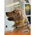Ошейник для собак из Биотана , 25 мм, 35-50 см. Серый и золотой шимер
