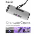 Портативная умная колонка Яндекс Станция Стрит с Алисой, 30 Вт, cерый