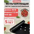 Пленка мульчирующая для клубники