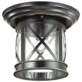 Odeon Light Уличный потолочный светильник Sation 4045/1C, E27 золотой 1 шт. 1 шт. 3000 K 60 Вт 19.5 см белый черный 1 шт.
