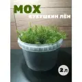 Мох кукушкин лен свежий лесной, для флорариумов и террариумов, 2л