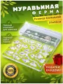 Большая муравьиная ферма максимальный комплект
