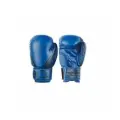 Перчатки боксерские INSANE ODIN IN22-BG200, ПУ, синий, 8 oz