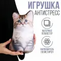 Игрушка-антистресс mni mnu Котик Сибиряк, полиэстер, полистирол