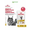 Влажный корм Royal Canin Urinary S/O Moderate Calorie пауч для кошек, склонных к полноте, при МКБ (в соусе) 85 г х 28 шт