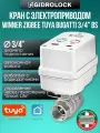 Кран шаровой с электроприводом Gidrolock Winner Zigbee Tuya Bugatti 3/4 BS