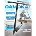 Самокат двухколесный трюковой черный