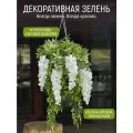 Подвесная зелень в кашпо с глицинией