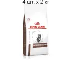 Сухой корм для котят Royal Canin Gastro Intestinal Kitten, при проблемах с ЖКТ, 4 шт. х 2 кг