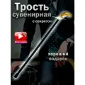 Трость опорная сувенирная с клинком внутри