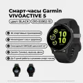 Умные часы Garmin VivoActive 5 Slate/Black