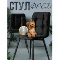 Стулья для кухни велюр комплект 2 шт цвет черный