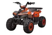 Квадроцикл YACOTA RAPOSA, 110 куб. см, бензиновый, электростартер, максимальная скорость 60км/ч